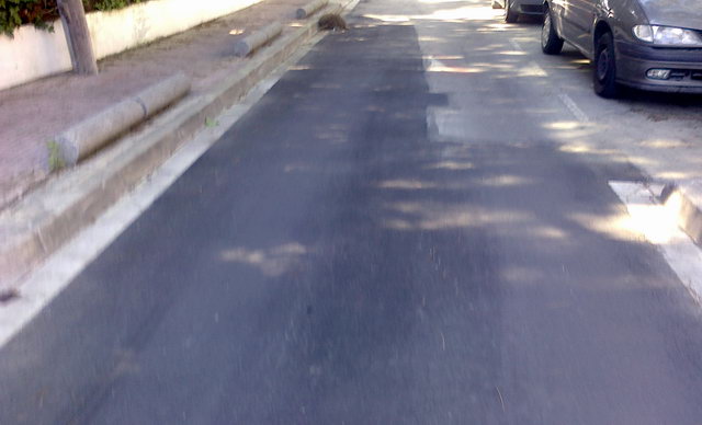 Asfaltat de l'encreuament dels carrers Cunit i Garraf de Gav� Mar (16 de Maig de 2010)